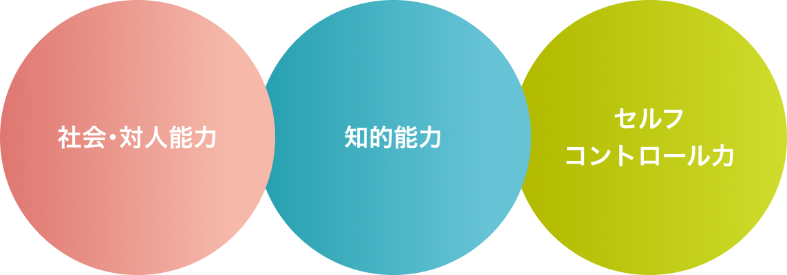 社会・対人能力、知的能力、セルフコントロール力